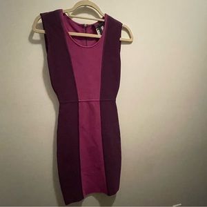 Fitted BCBG Maxazria dress.